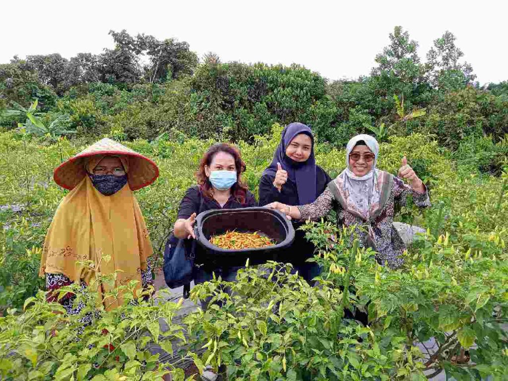 BERITA FOTO: Anggota DPRD Barito Timur ini Dukung Pengembangan Pertanian di Desa Siong