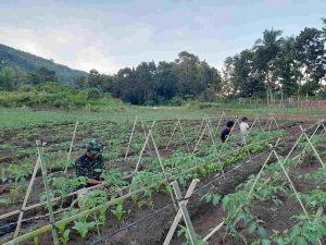 Kelompok Tani Oba Wunta Harap Bantuan Alsintan dari Pemkab SBD