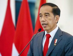 Presiden Jokowi Bahas Solusi Damai Rusia-Ukraina dengan Pemimpin Dunia