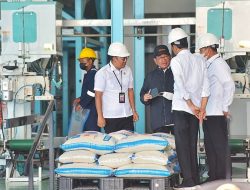 Panen Raya, Presiden Minta Bulog Serap Gabah Petani Sebanyaknya