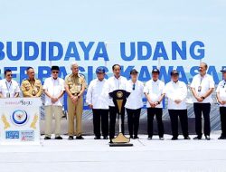 Jokowi Resmikan Tambak Budidaya Udang Berbasis Kawasan di Kebumen