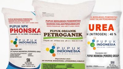 Harga Pupuk NPK Melonjak Naik 4 Kali Lipat, Ini Biang Keroknya