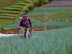 KemenKopUKM Dorong Petani dan Nelayan Agar Berkoperasi