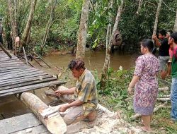 PT MPL dan PT TEI Bantu Perbaikan Jembatan Rusak Akibat Banjir di Desa Matabu