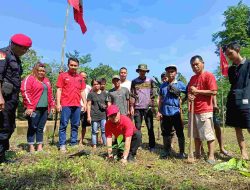 Peringati Bulan Bung Karno, DPC PDIP Barito Timur Adakan Penanaman Pohon