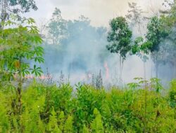 BPBD Damkar dan Relawan Padamkan Kebakaran Lahan di Kelurahan Tamiang Layang