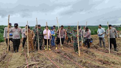 CAA Group Dukung Penanaman Jagung Serentak 1 Juta Hektare