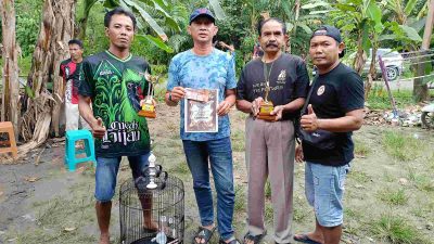 Lomba Burung Berkicau Sadewa BC Ramaikan Tamiang Layang, 300 Burung Ikut Berlaga