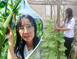 Bhayangkari Polres Barito Timur Tanam Labu dan Jagung, BPP Paju Epat Beri Pendampingan