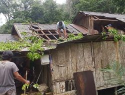Cuaca Ekstrem Akibatkan Rumah Warga di Desa Lalap Tertimpa Pohon
