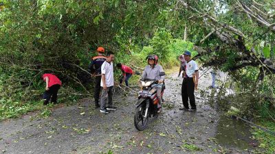 BMKG Jelaskan Pemicu Cuaca Ekstrem di Barito Timur Dini Hari Tadi