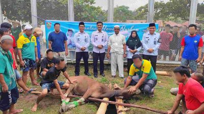 Rayakan Iduladha di Balik Jeruji, Rutan Tamiang Layang Potong Enam Hewan Kurban dan Bagikan ke Warga Binaan