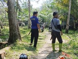 Pemdes Pulau Patai Gotong Royong Bersihkan Jalan Menuju Lokasi Festival Nariuk 5