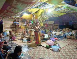 Ritual Gawi Gulungan Langit Tutup Rangkaian Adat Buntang Hajat Keluarga Bunan Nataloto