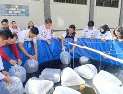 Diskanak Dukung Pembinaan WBP Rutan Tamiang Layang Lewat Bantuan Benih Lele dan Pakan
