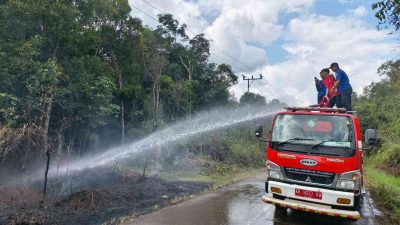 Petugas Damkar Barito Timur Bergerak Cepat Padamkan Kebakaran Lahan di Desa Sarapat