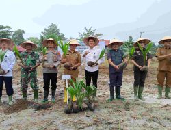 Rutan Tamiang Layang Tanam 115 Pohon Kelapa di Lahan Sarana Asimilasi dan Edukasi