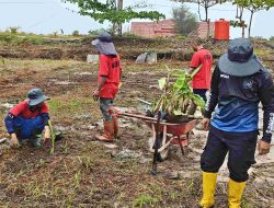 Tamping Rutan Tamiang Layang Tambah Bibit Pisang di Lahan SAE untuk Kemandirian Warga Binaan