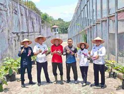 Rutan Tamiang Layang Panen Terong, Wujud Nyata Pembinaan Kemandirian WBP
