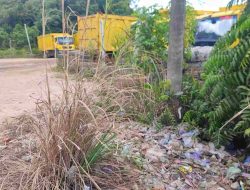DLH Barito Timur Telusuri Asal Tumpukan Sampah di Simpang Empat PT BNJM