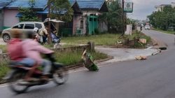 Bina Marga Respons Keluhan Warga, Tambal Jalan Nasional Berlubang di Tikungan Depan Hotel Trio