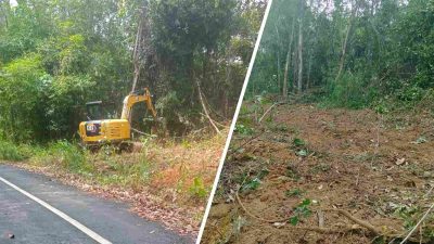 Pemdes Tangkan Siapkan Lahan 0,7 Hektare untuk Ternak Ayam Pedaging