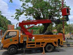 Dinas PUPR Perkim Bartim Rawat Tiang Lampu Median Jalan Tamiang Layang
