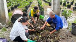 Rutan Tamiang Layang Perkuat Keterampilan Warga Binaan, Ubah Limbah Jadi Pupuk Bernilai