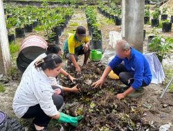 Rutan Tamiang Layang Perkuat Keterampilan Warga Binaan, Ubah Limbah Jadi Pupuk Bernilai
